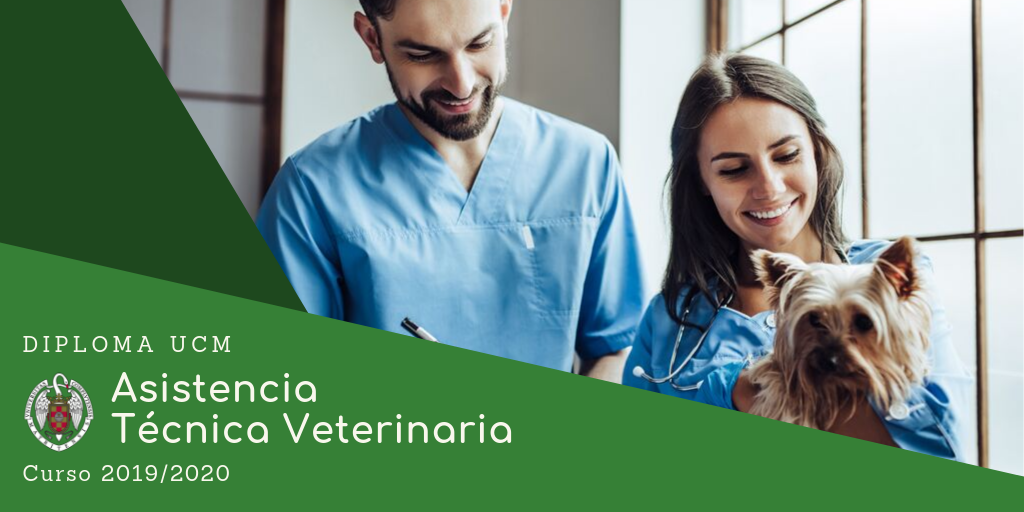 Asistencia ténica en clínica veterinaria. Parte I